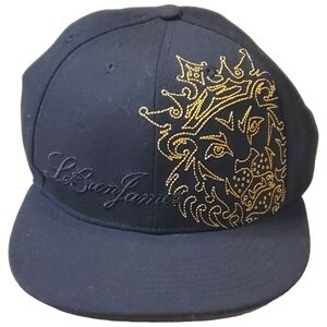 Black Le Bron James 643 Lion Head Cap